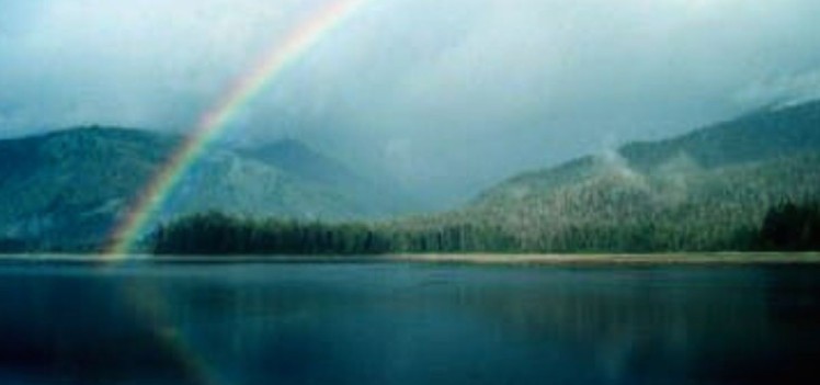 rainbow jane sober story
