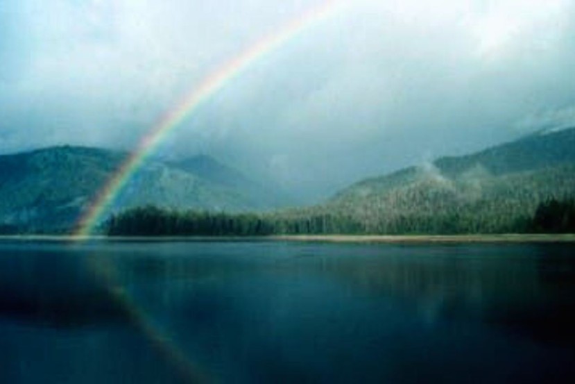 rainbow jane sober story