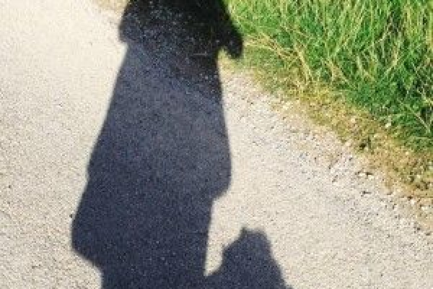 Sober Story: Julie