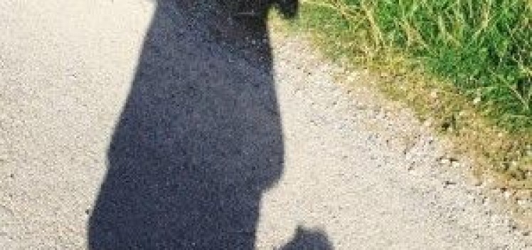 Julie-shadow-300x300