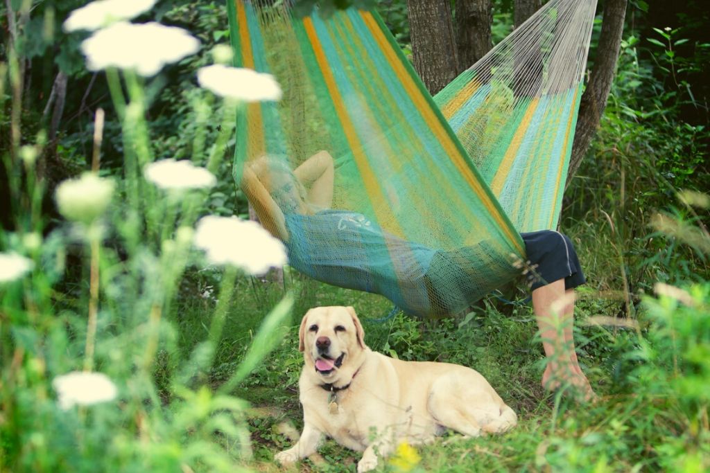 Sue in a hammock with dog