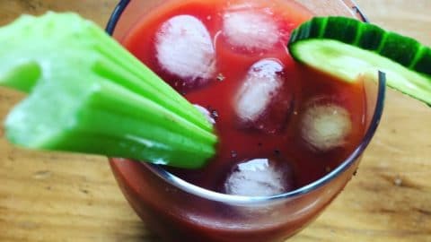 tomato juice in glass with ice cubes & garnish