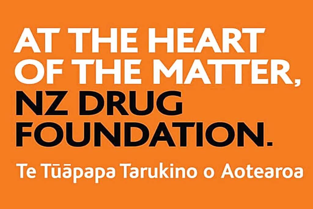 Drug Foundation logo